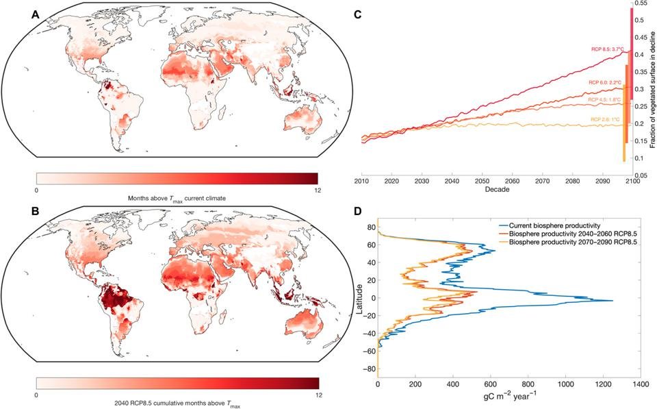 Map of global temperatures exceeding photosynthetic ability of plants.