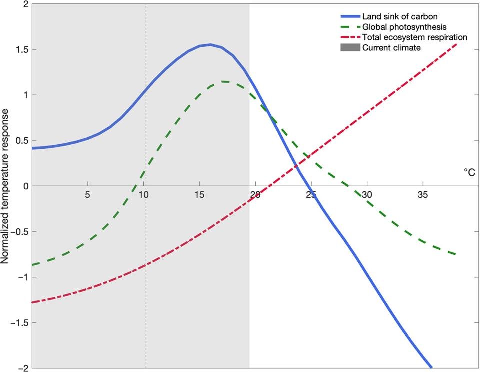 Terrestrial land sink curves